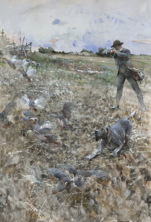Partridge Hunt, vintage artwork by Bruno Liljefors, 12x8" (A4) Poster