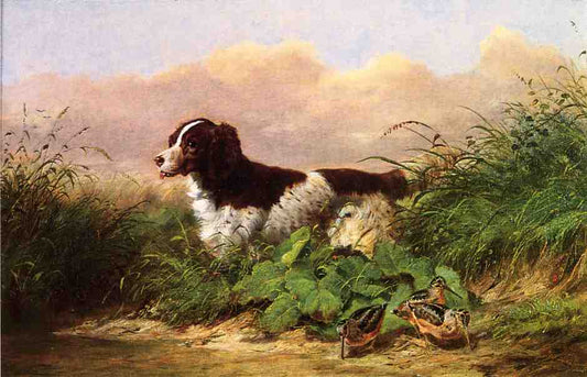 Setter and Woodcock, vintage artwork by Arthur Fitzwilliam Tait, A3 (16x12") Poster Print