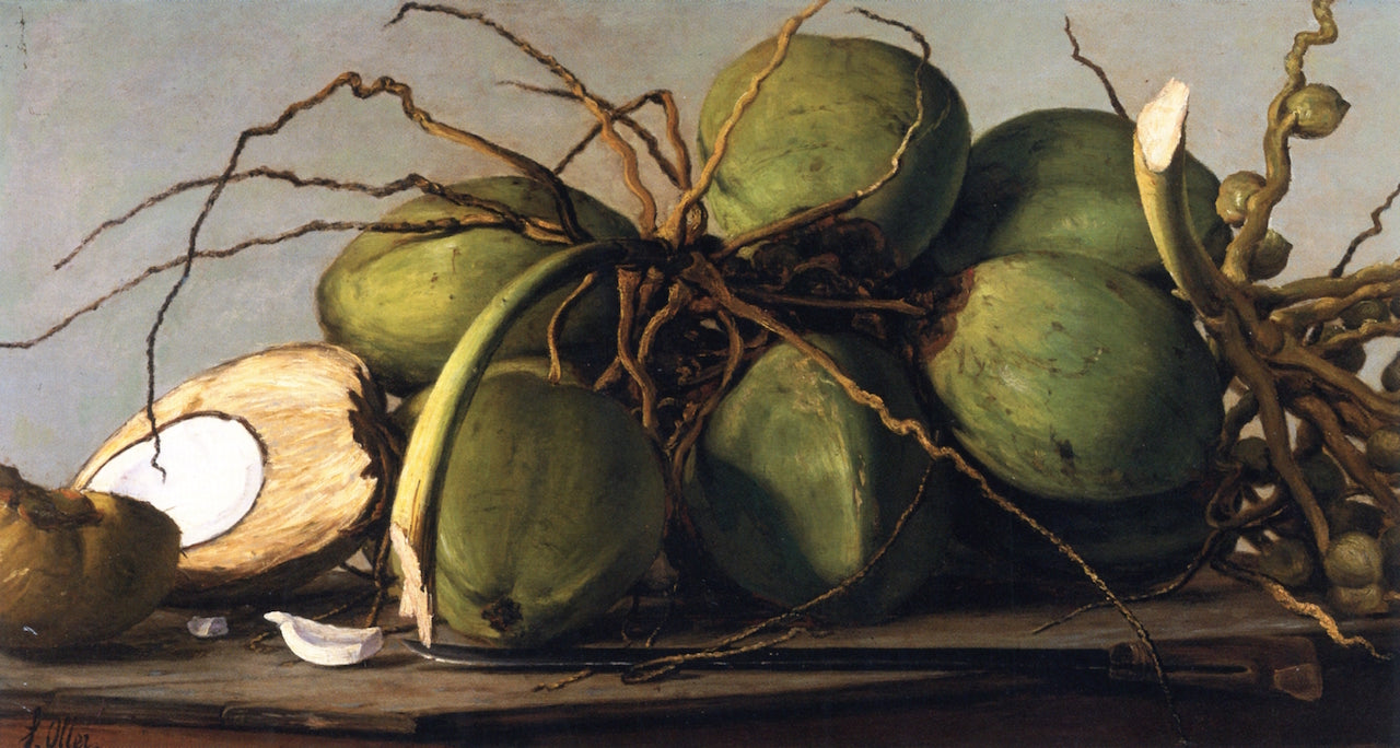 Still Life with Coconuts, vintage artwork by Francisco Oller, 12x8" (A4) Poster