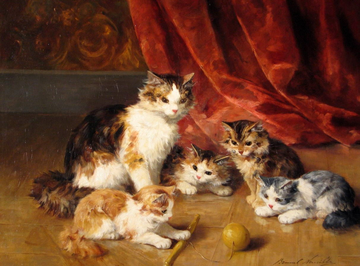 kittens playing by Alfred Brunel de Neuville,A3(16x12")Poster