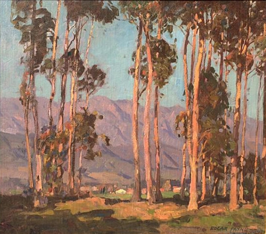 Eucalyptus and Hills by Edgar Alwyn Payne,16x12(A3) Poster