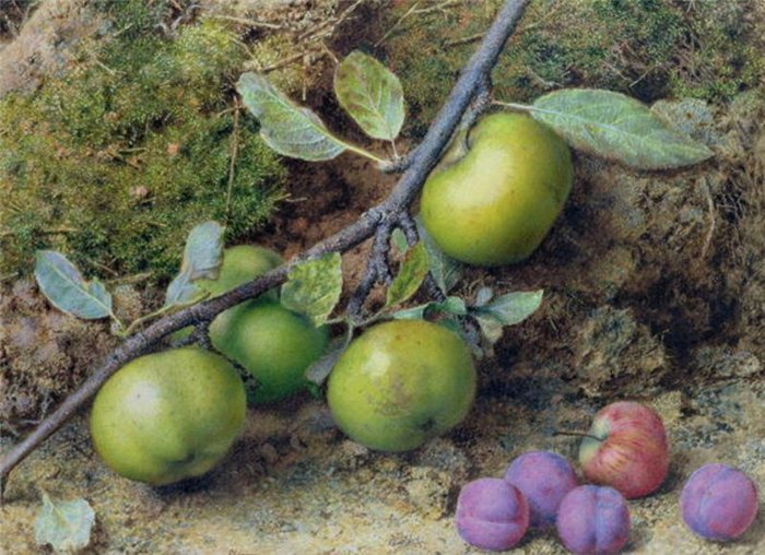 Apples and Plums on a Mossy Bank, vintage artwork by John Sherrin, A3 (16x12") Poster Print