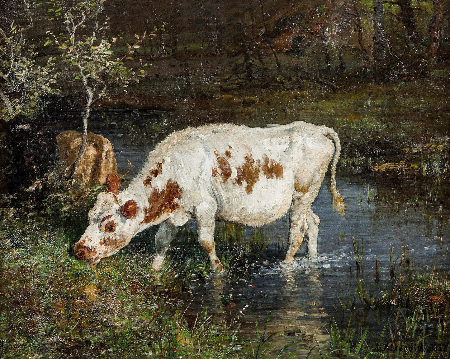 Grazing Cow at the Riverside, vintage artwork by Anders Monsen Askevold, 12x8" (A4) Poster
