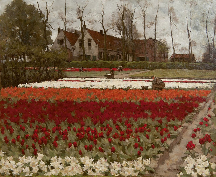 acinths and tulipfields, Overveen by Antonie Lodewijk Koster,A3(16x12