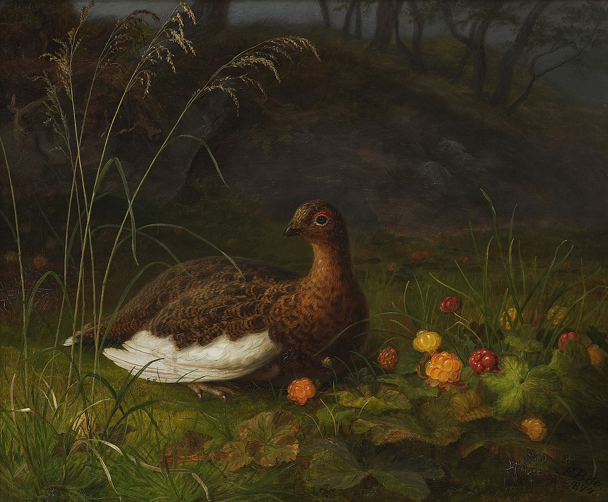 Ptarmigan and Cloudberry, vintage artwork by Frants Diderik Bøe, A3 (16x12") Poster Print