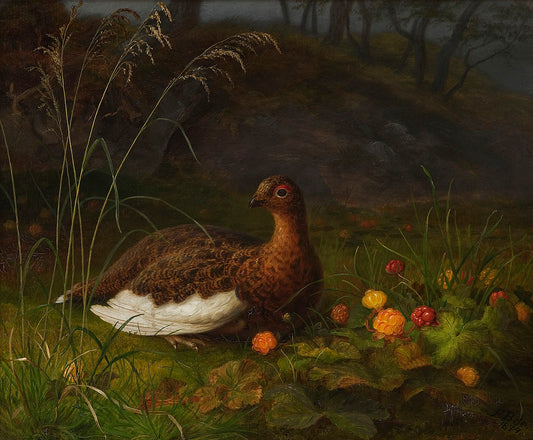 Ptarmigan and Cloudberry, vintage artwork by Frants Diderik Bøe, A3 (16x12") Poster Print