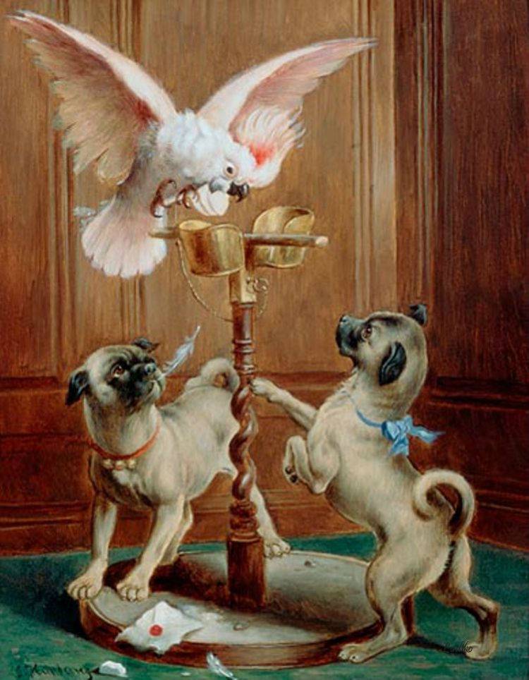 The disturbed cockatoo, vintage artwork by Carl Reichert, 12x8" (A4) Poster