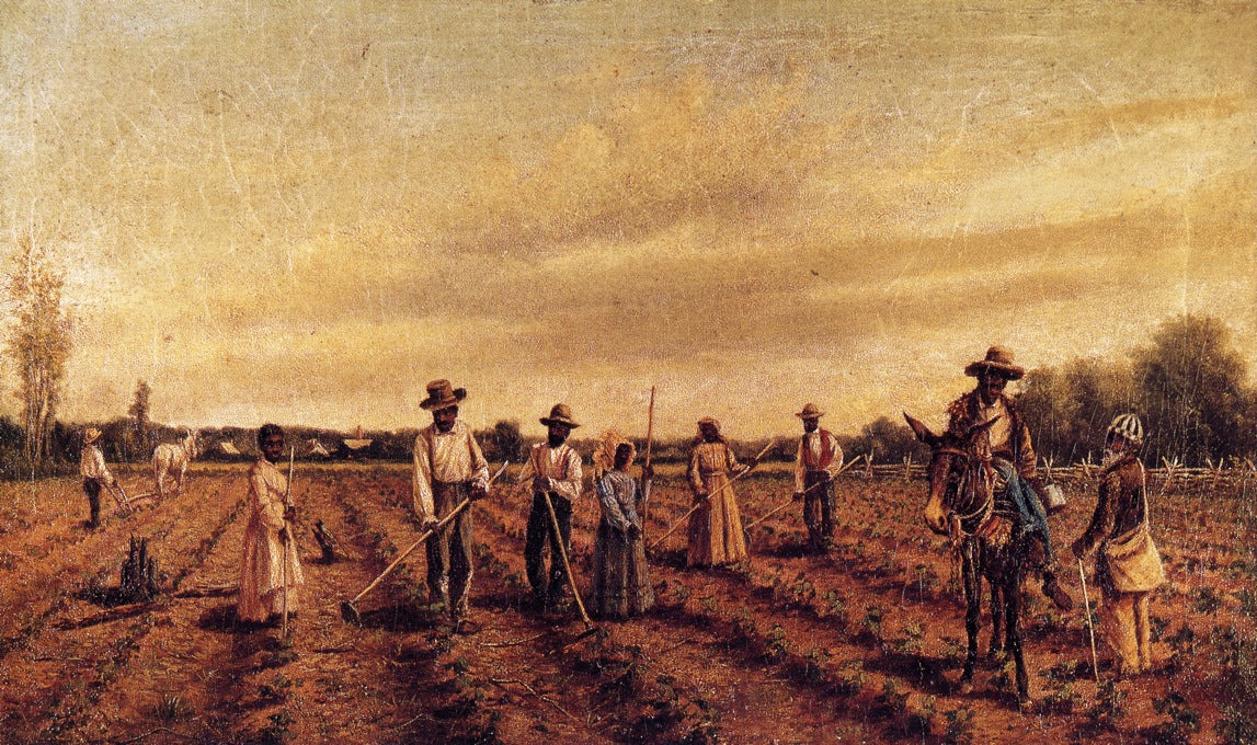Hoeing Cotton, vintage artwork by William Aiken Walker, 12x8" (A4) Poster