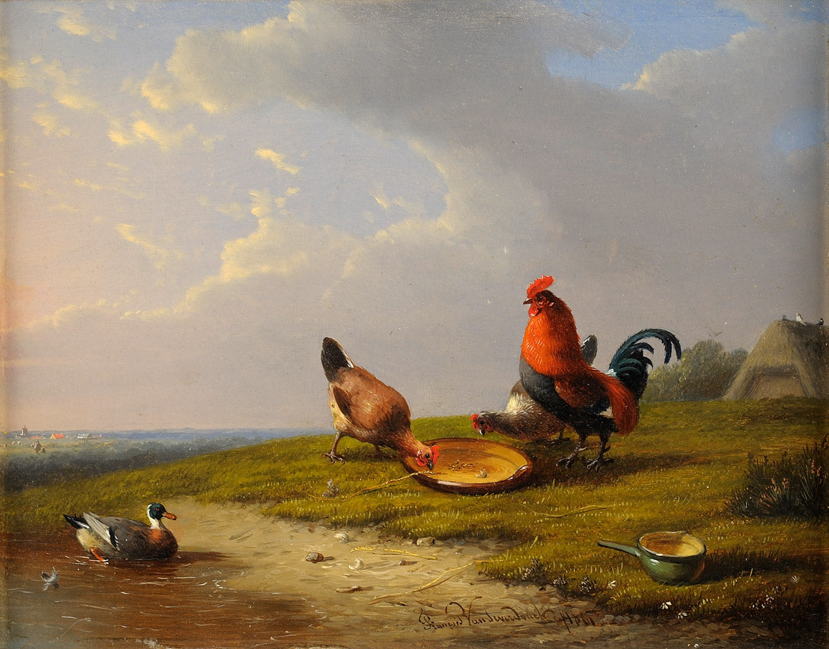 A watchful eye, vintage artwork by Francois van Severdonck, A3 (16x12") Poster Print