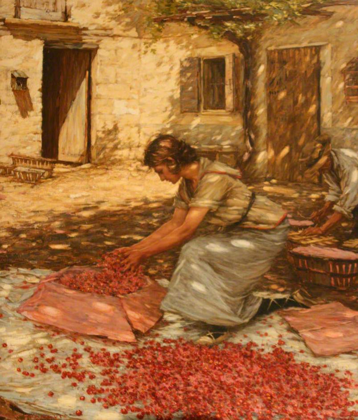 ing Cherries in Provence, France by Henry Herbert la Thangue,A3(16x12