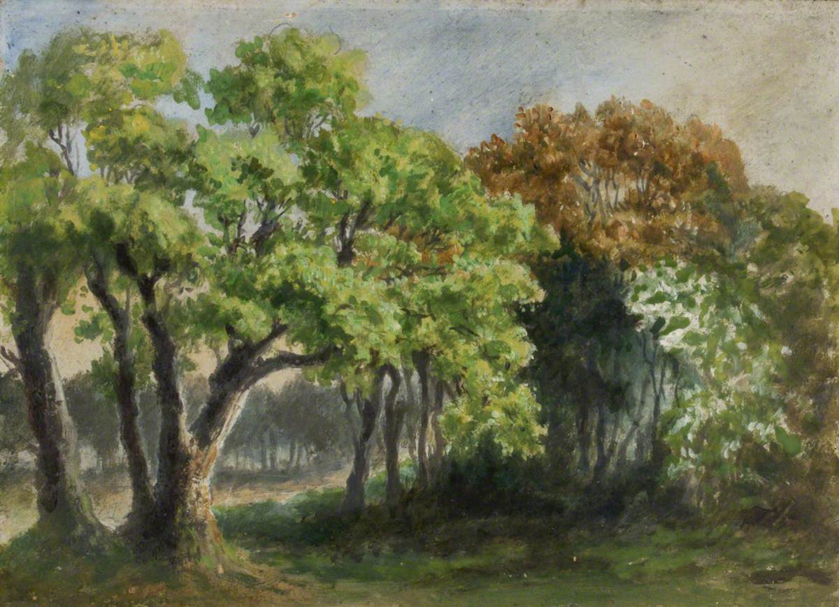 May 1, 1894, on the Common, vintage artwork by Albert Durer Lucas, 12x8" (A4) Poster