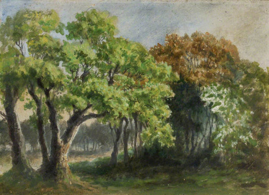 May 1, 1894, on the Common, vintage artwork by Albert Durer Lucas, 12x8" (A4) Poster
