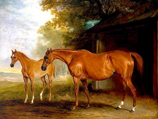 Defiance, a Brood Mare, with Reveller, a Foal, vintage artwork by John E. Ferneley, Sr, 12x8" (A4) Poster