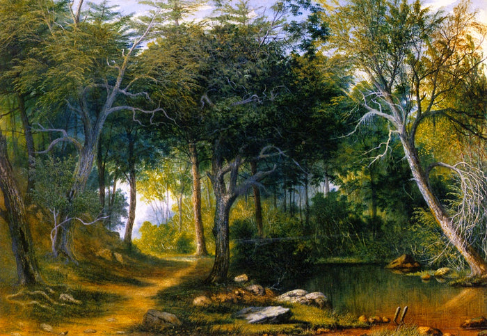 Path in the Woods, New Bedford, vintage artwork by William Allen Wall, A3 (16x12