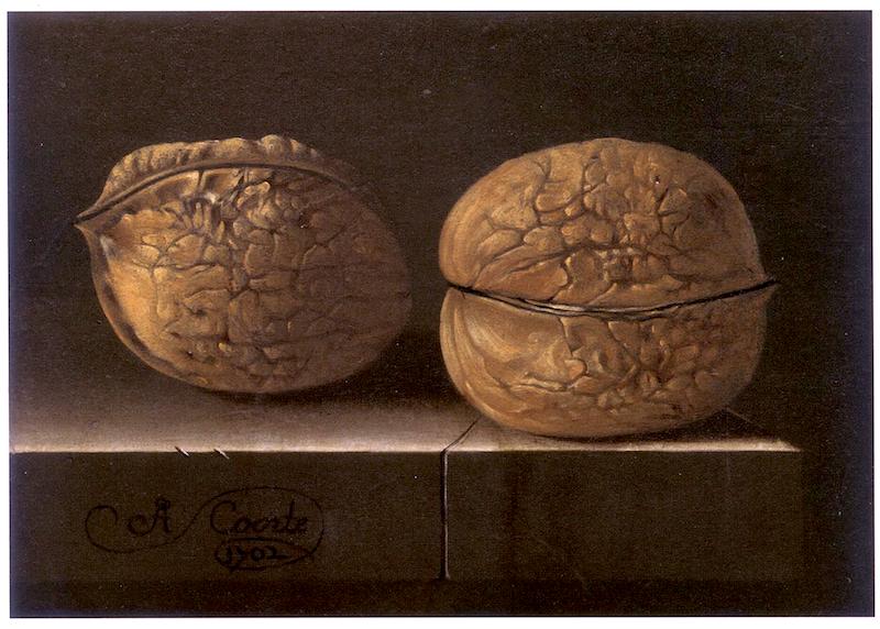 Two Walnuts, vintage artwork by Adriaen Coorte, 12x8" (A4) Poster