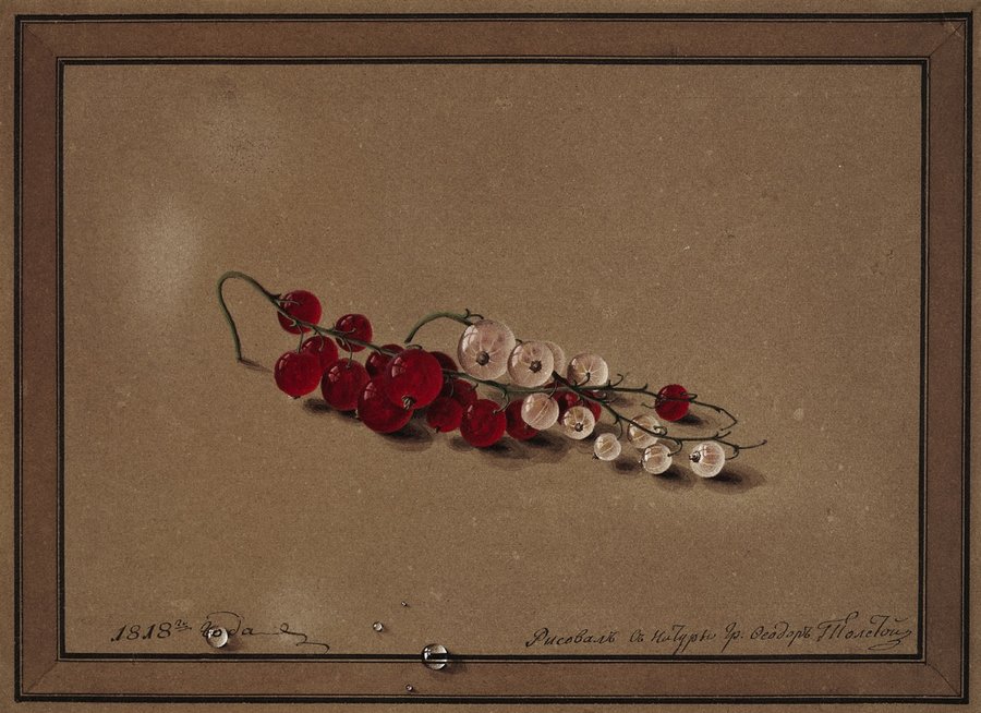 Red and White Currants, vintage artwork by Fedor Tolstoy, 12x8" (A4) Poster