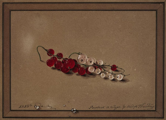 Red and White Currants, vintage artwork by Fedor Tolstoy, 12x8" (A4) Poster