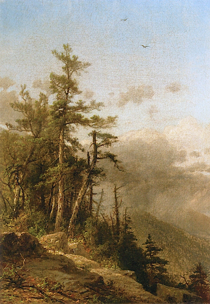 Landscape, from the Heights, vintage artwork by James David Smillie, 12x8" (A4) Poster