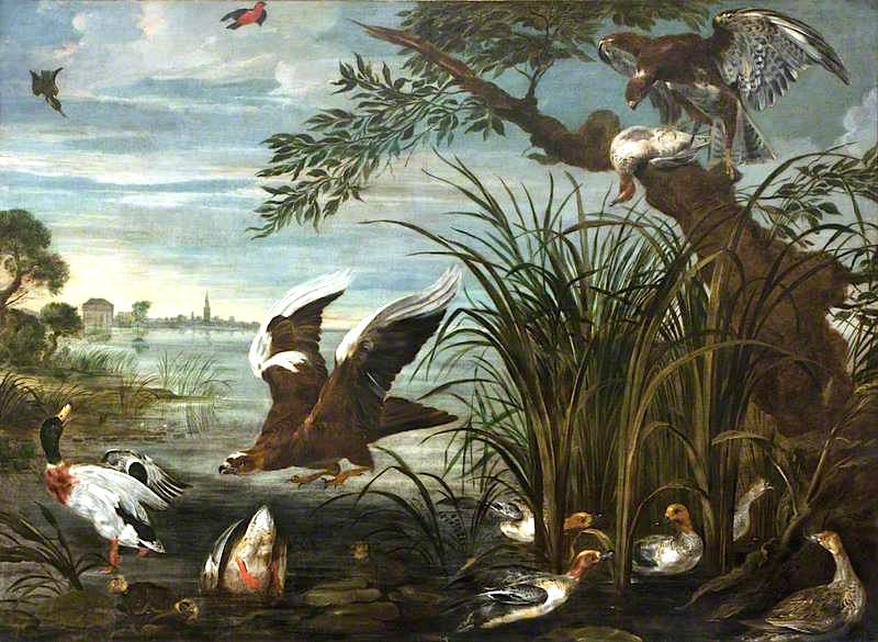 River Scene with Ducks and Geese Being Attacked by  Hawks, vintage artwork by David de Coninck, 12x8" (A4) Poster