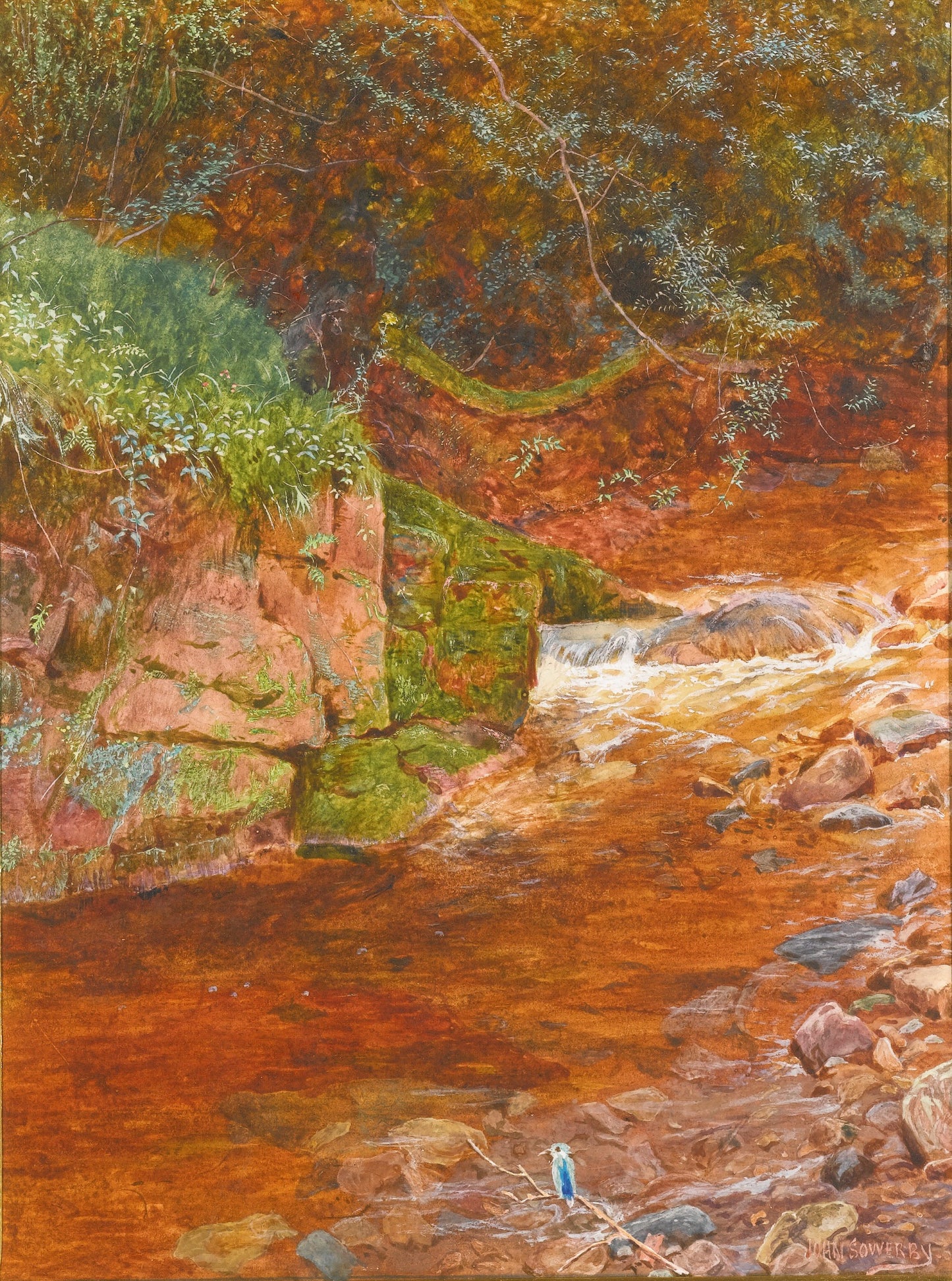 The kingfisher's haunt, vintage artwork by John George Sowerby , 12x8" (A4) Poster