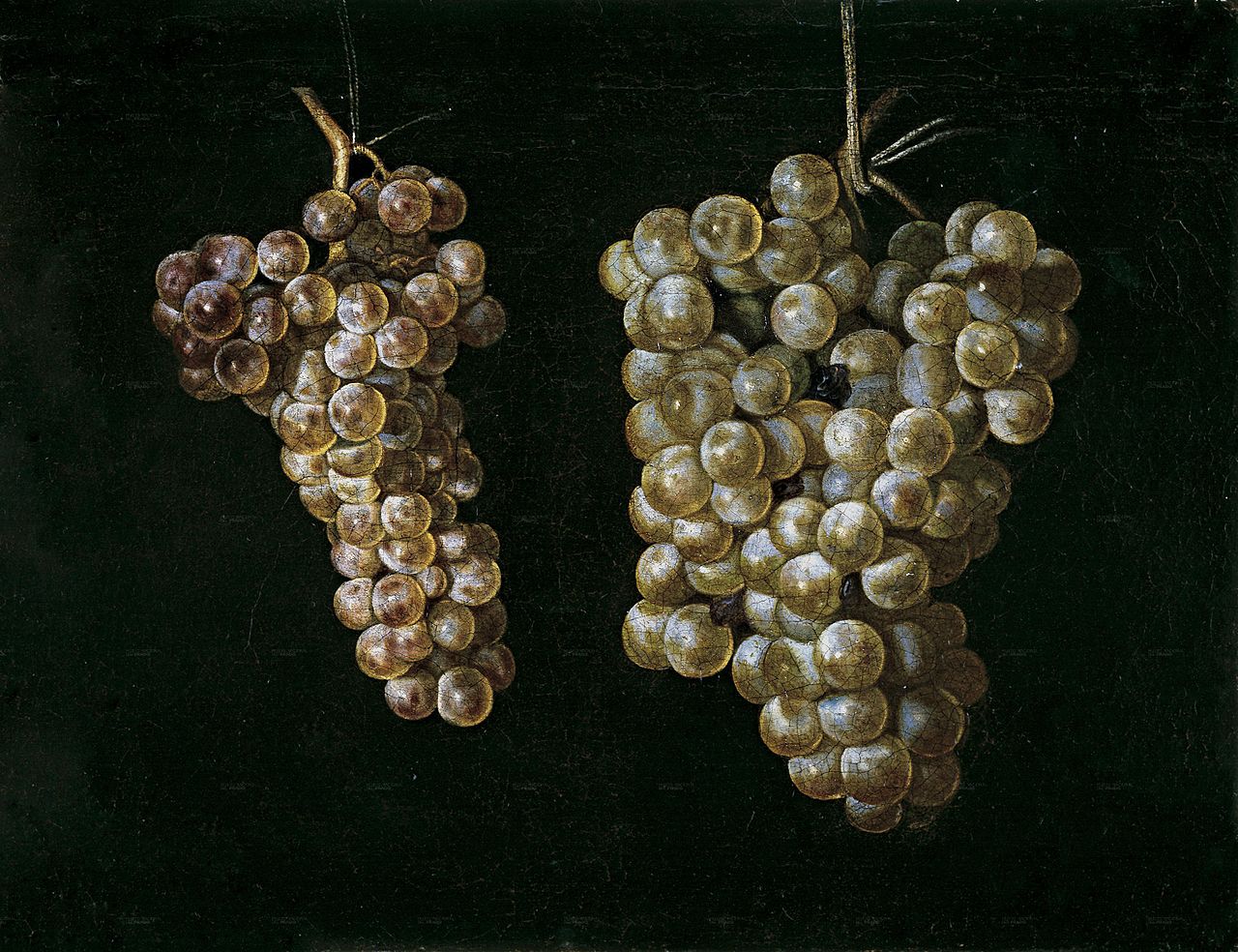 Bodegón con dos racimos de uvas, vintage artwork by Juan Fernández el Labrador, 12x8" (A4) Poster