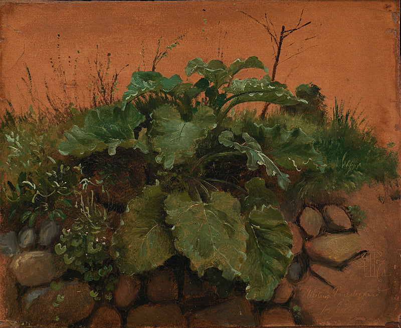 A Burdock and other Plants on a Stone Wall, vintage artwork by Johan Thomas Lundby e, A3 (16x12") Poster Print