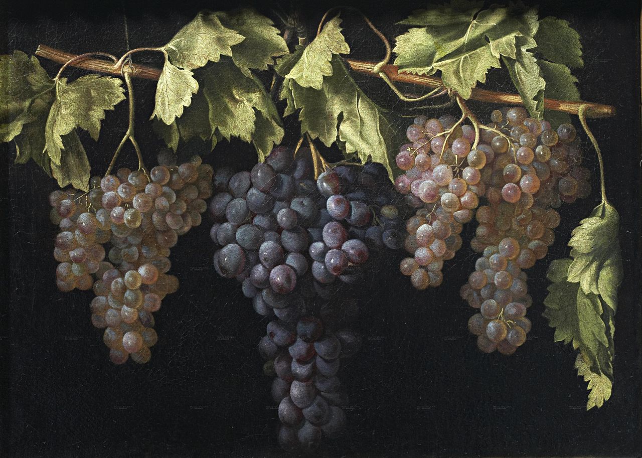 Bodegón con cuatro racimos de uvas,, vintage artwork by Juan Fernández el Labrador, 12x8" (A4) Poster