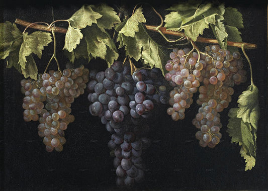Bodegón con cuatro racimos de uvas,, vintage artwork by Juan Fernández el Labrador, 12x8" (A4) Poster