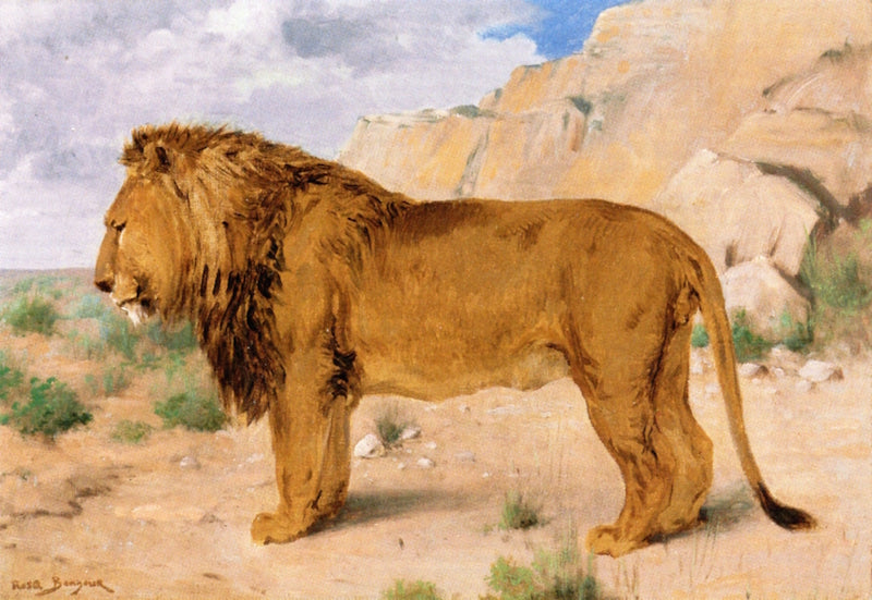 Study of a Lion, vintage artwork by Rosa Bonheur, 12x8" (A4) Poster