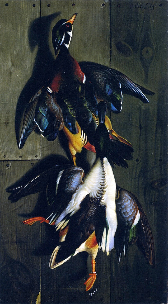 Hanging Game: Wood Duck and Mallard, vintage artwork by Hal Alexander Courtney Morrison, 12x8" (A4) Poster
