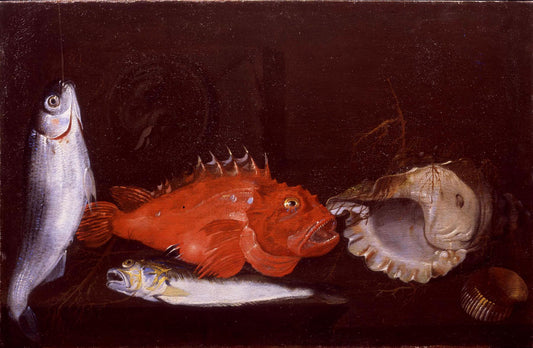 Still Life with Mullet, Scorpion Fish, Weever, two Shells and a Medallion, vintage artwork by Paolo Porpora, 12x8" (A4) Poster