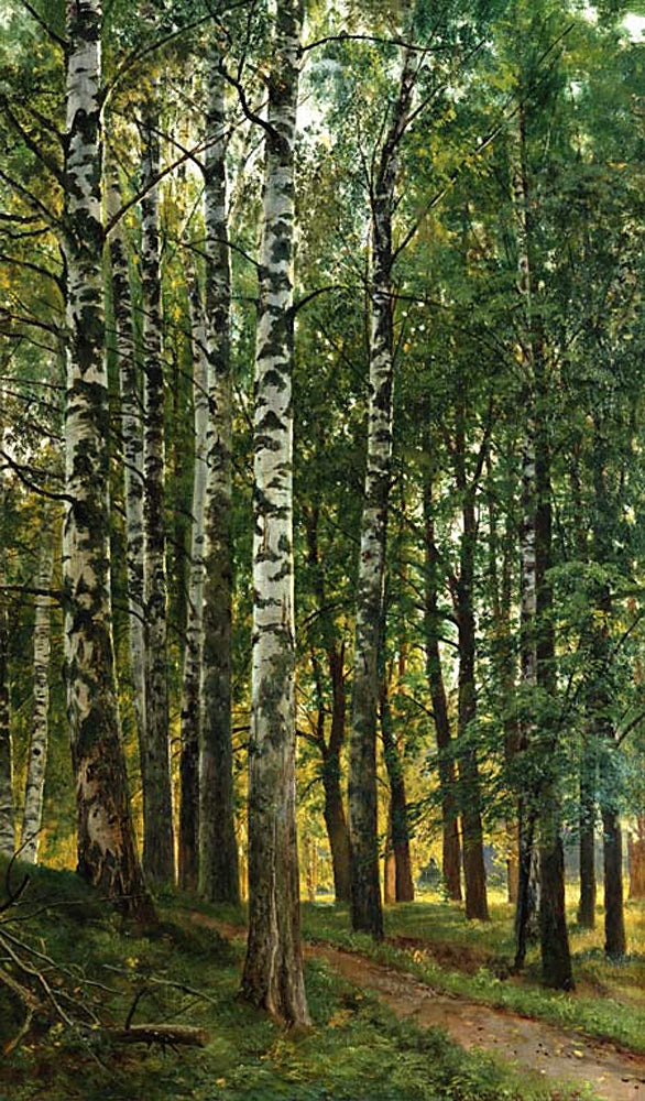 Birch Grove, vintage artwork by Ivan Ivanovich Shishkin, 12x8" (A4) Poster