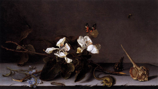 Still Life with Apple Blossoms, vintage artwork by Balthasar van der Ast, 12x8" (A4) Poster