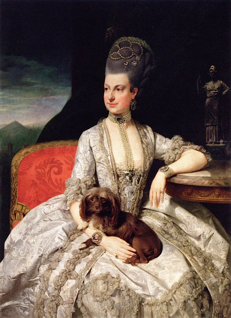 Archduchess Maria Christina (Mimi), vintage artwork by Johann Zoffany, 12x8" (A4) Poster