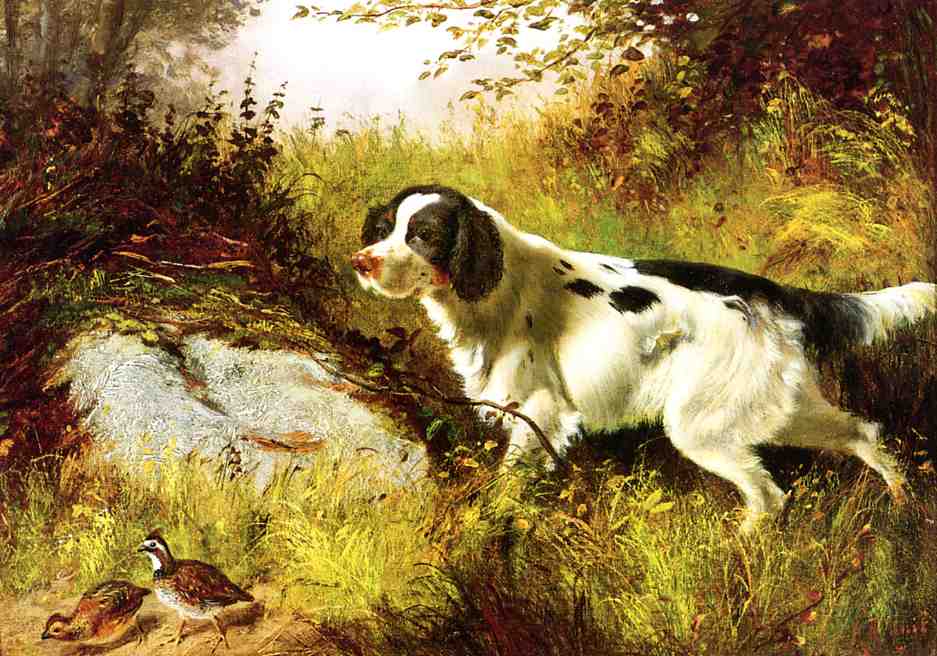Dog and Quail, vintage artwork by Arthur Fitzwilliam Tait, A3 (16x12") Poster Print
