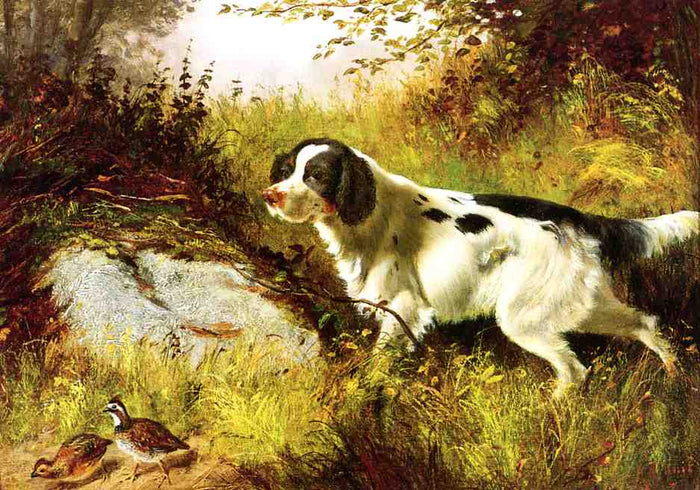 Dog and Quail, vintage artwork by Arthur Fitzwilliam Tait, A3 (16x12