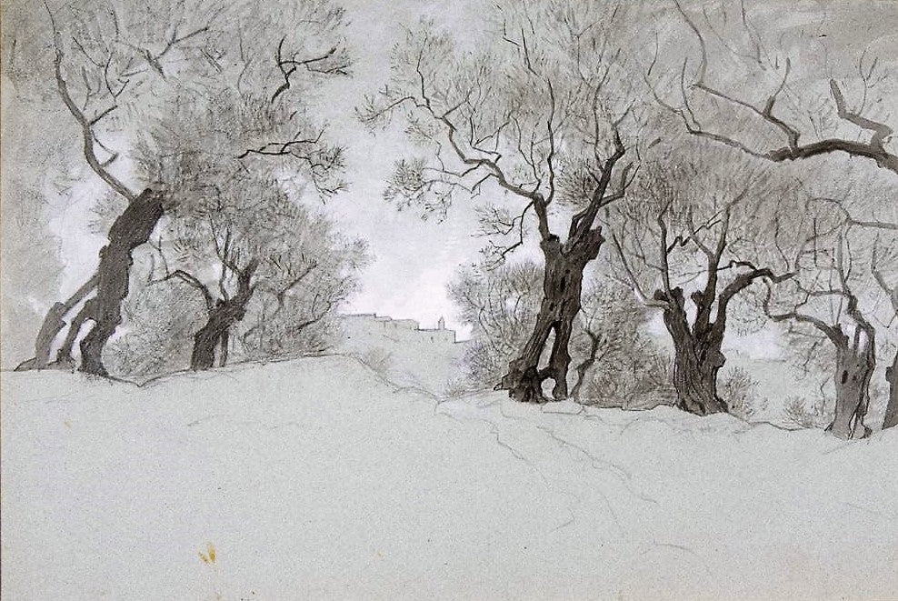 Olive Grove at Tivoli, vintage artwork by William Stanley Haseltine, 12x8" (A4) Poster