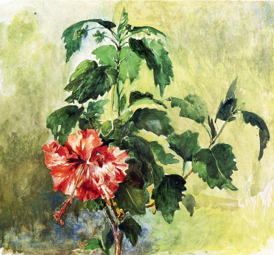 The Hibiscus, Tahiti, Society Islands, 1891, vintage artwork by John La Farge, 12x8" (A4) Poster