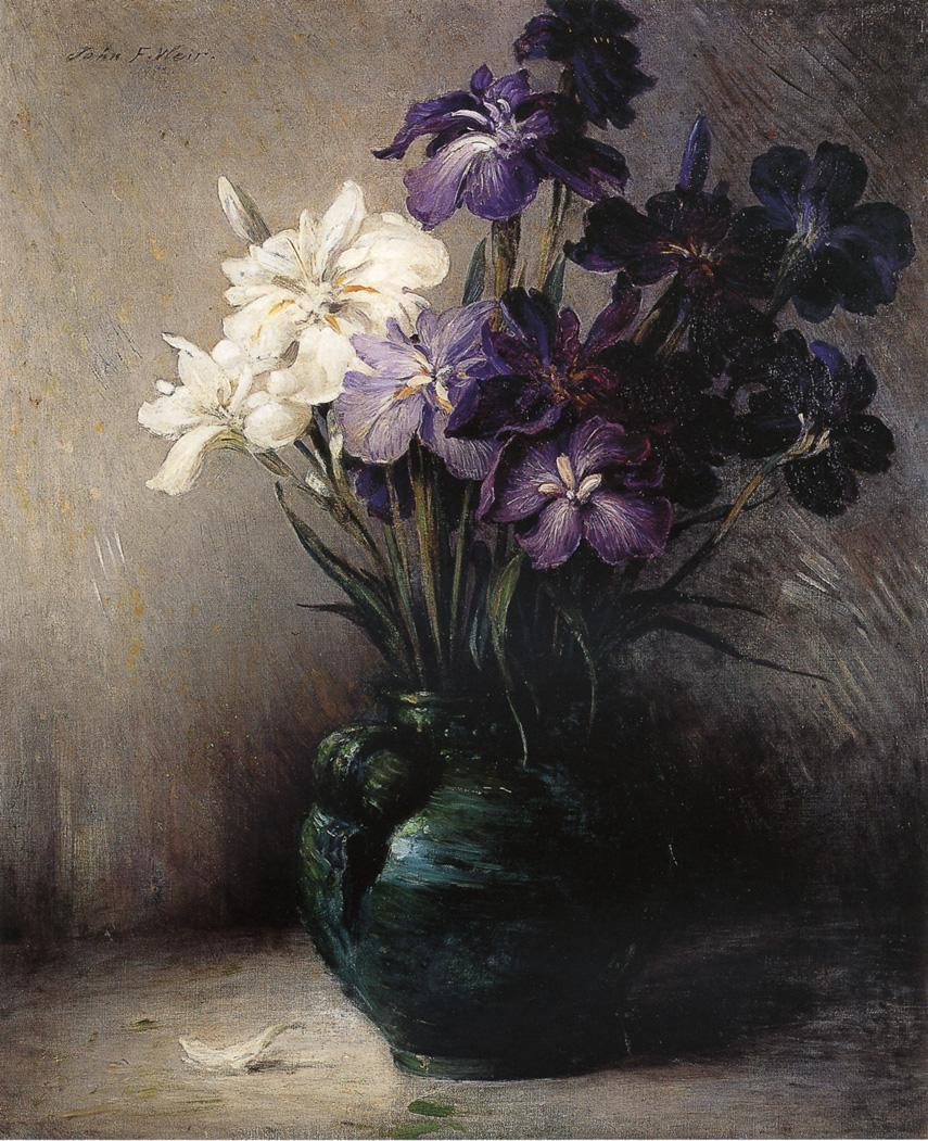Japanese Iris - Six Varieties, vintage artwork by John Ferguson Weir, 12x8" (A4) Poster