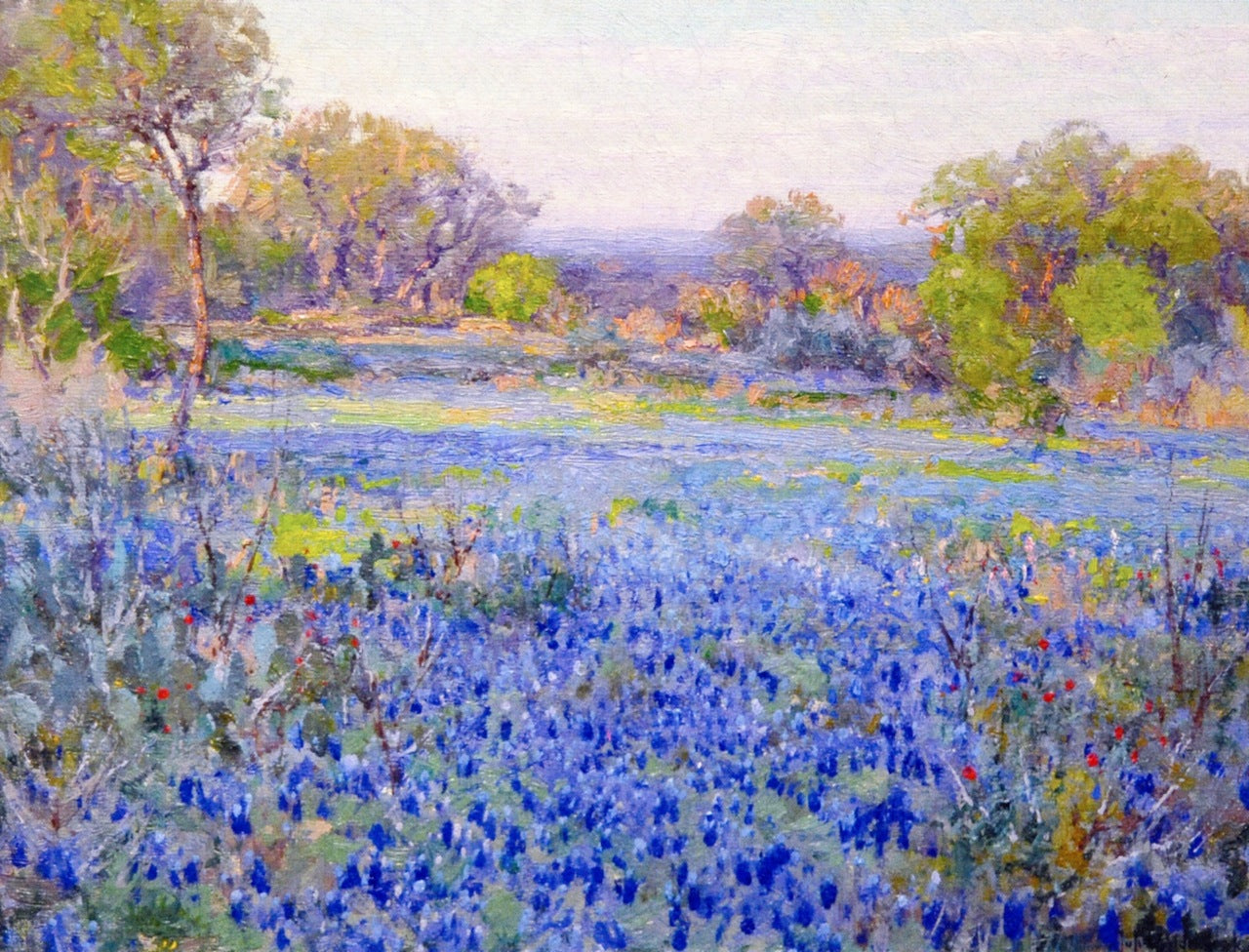A Field of Blue Bonnets, Late Afternoon Sunlight, vintage artwork by Julian Onderdonk, 12x8" (A4) Poster