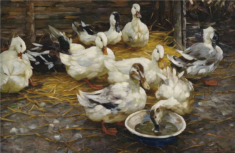 Ducks in the Straw, vintage artwork by Alexander Koester, 12x8" (A4) Poster