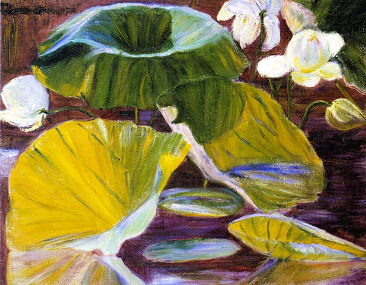 Lotus Flowers [Oya, Japan], vintage artwork by Lilla Cabot Perry, 12x8" (A4) Poster