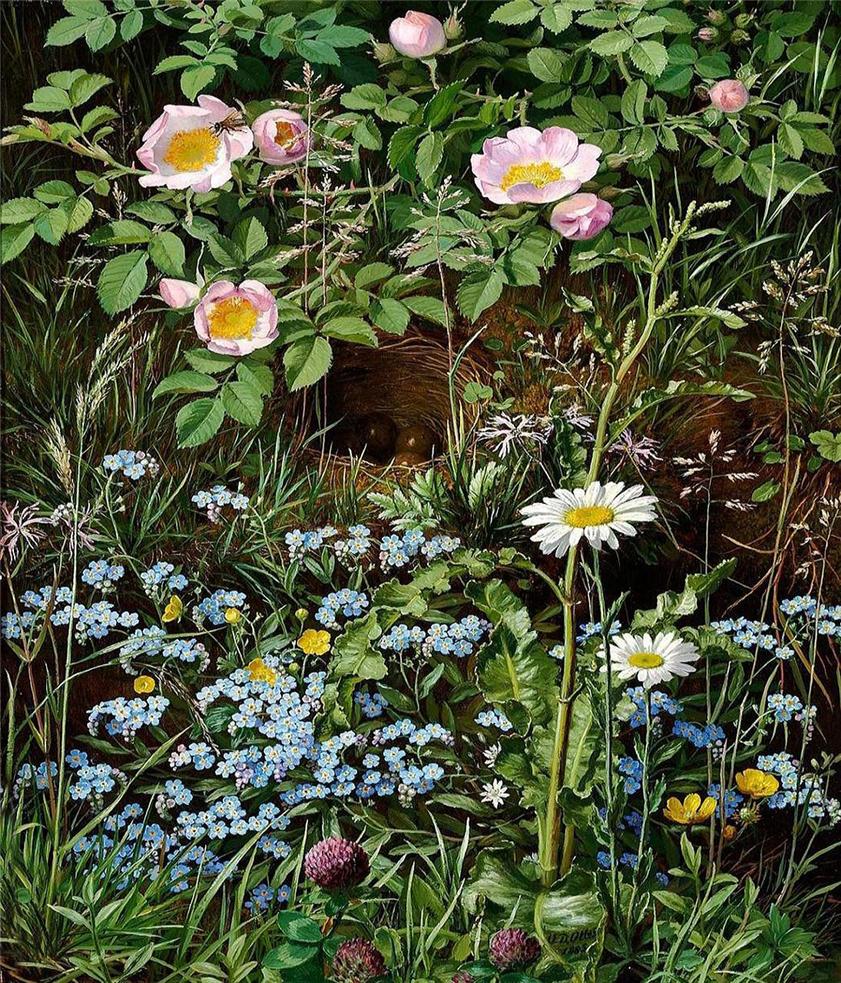 Dog roses, forget-me-nots, daisies, buttercups and clover, vintage artwork by Otto Didrik Ottesen, A3 (16x12") Poster Print
