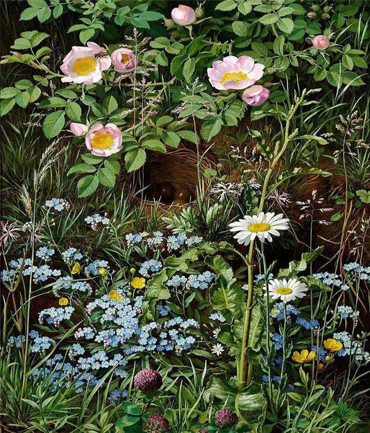 Dog roses, forget-me-nots, daisies, buttercups and clover, vintage artwork by Otto Didrik Ottesen, A3 (16x12") Poster Print