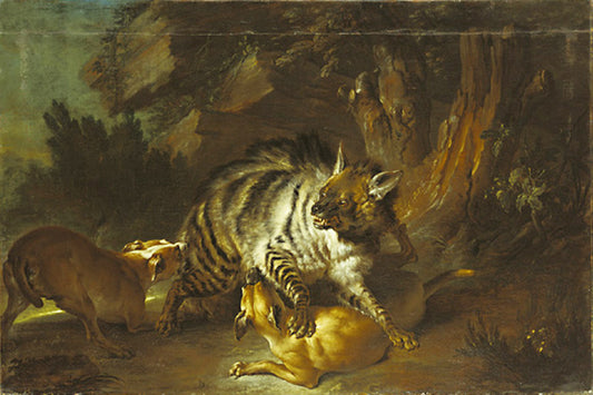 Hyena, vintage artwork by Jean-Baptiste Oudry, 12x8" (A4) Poster