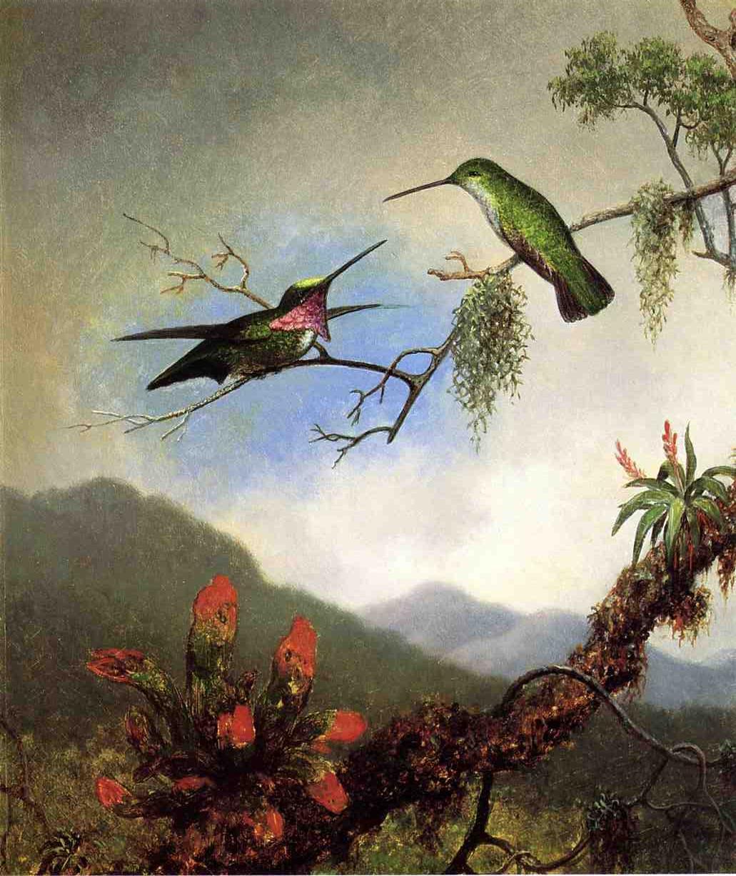 Amethyst Hummingbirds, vintage artwork by Martin Johnson Heade, A3 (16x12") Poster Print