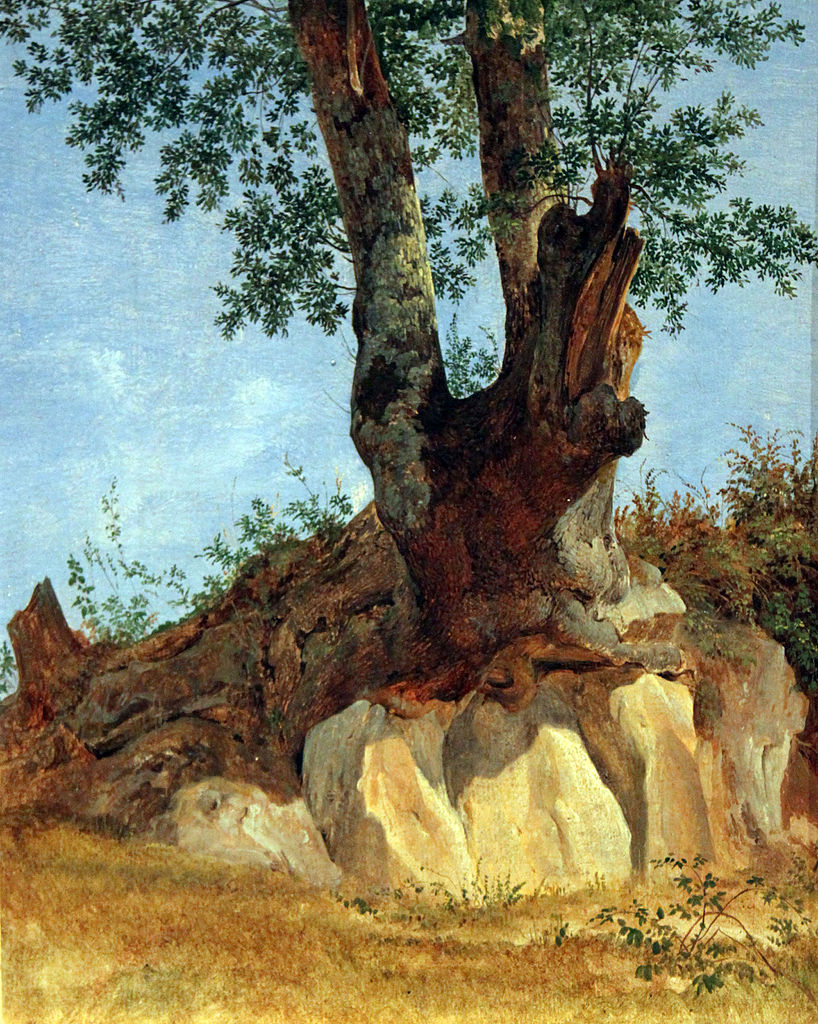 Tree in Campagna, vintage artwork by Heinrich Carl Reinhold, 12x8" (A4) Poster