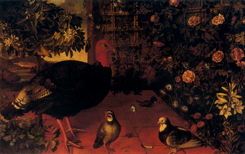 Pavo, perdiz y paloma en una terraza, vintage artwork by Tomàs Yepes, 12x8" (A4) Poster