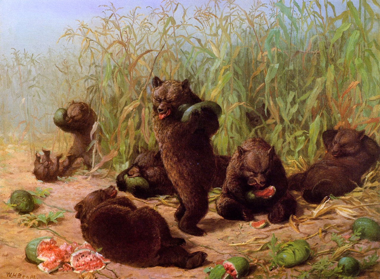Bears in the Watermelon Patch, vintage artwork by William Holbrook Beard, 12x8" (A4) Poster