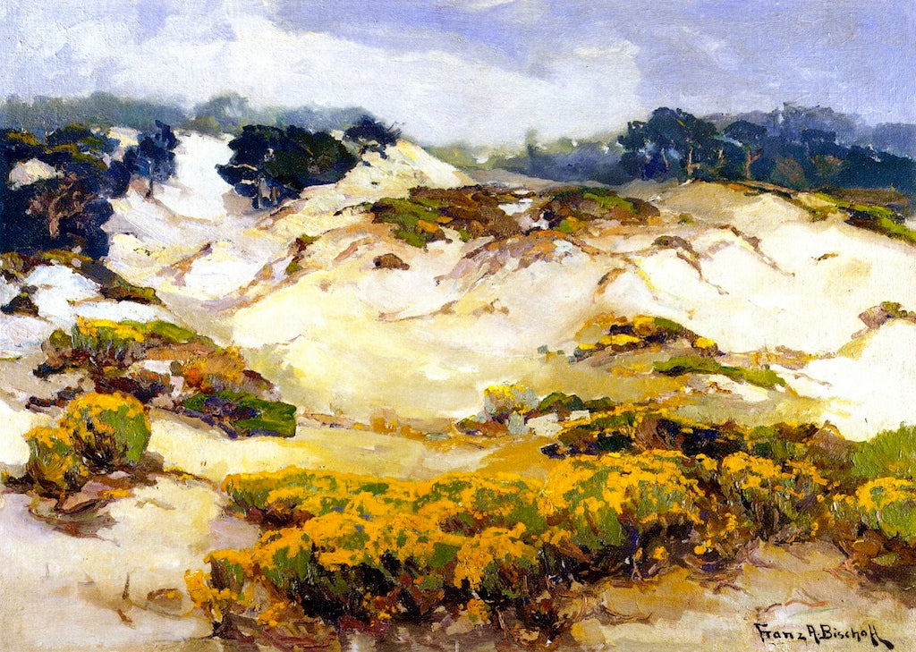 Dunes Pallid by Mist, Monterey Coast by Franz Bischoff,A3(16x12")Poster
